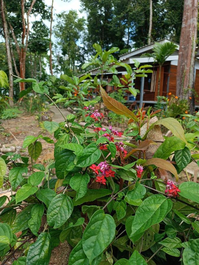 Good Time Resort Koh Kood Ban Lak Uan Экстерьер фото